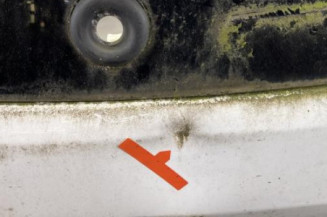 Malle/Hayon arriere DACIA SANDERO 2