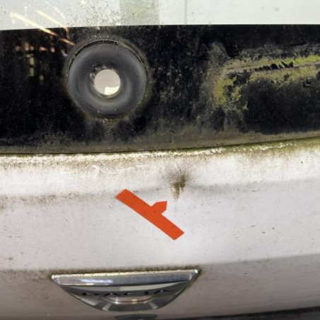 Malle/Hayon arriere DACIA SANDERO 2