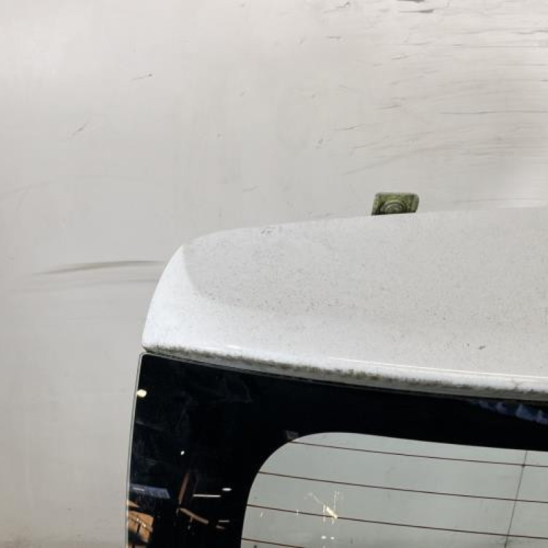 Malle/Hayon arriere DACIA SANDERO 2 Photo n°3