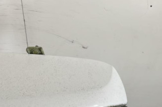 Malle/Hayon arriere DACIA SANDERO 2