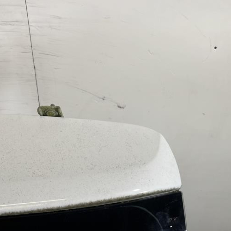 Malle/Hayon arriere DACIA SANDERO 2 Photo n°4