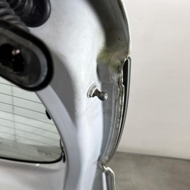 Malle/Hayon arriere DACIA SANDERO 2 Photo n°9