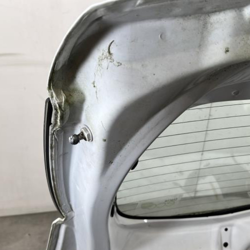 Malle/Hayon arriere DACIA SANDERO 2 Photo n°10