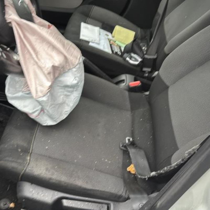 Custode avant gauche (porte) CITROEN C3 3 Photo n°15