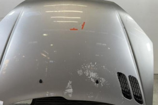 Capot PEUGEOT 206 Photo n°1