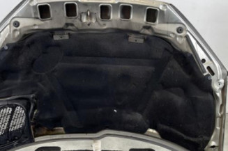 Capot PEUGEOT 206