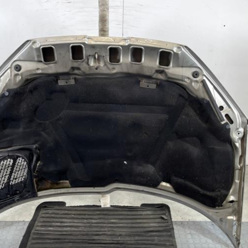 Capot PEUGEOT 206 Photo n°10