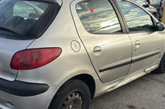 Malle/Hayon arriere PEUGEOT 206