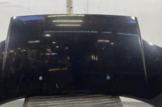 Capot CITROEN C2 Photo n°1