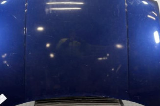 Capot VOLKSWAGEN GOLF 4 Photo n°1