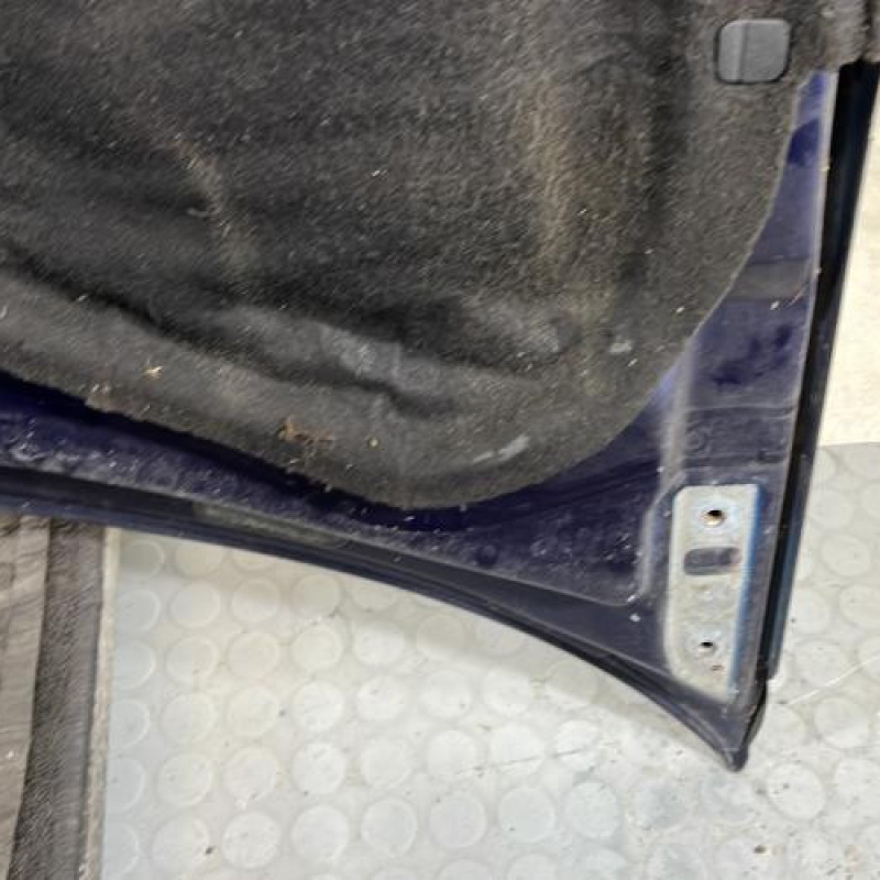 Capot VOLKSWAGEN GOLF 4 Photo n°8