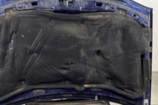 Capot VOLKSWAGEN GOLF 4