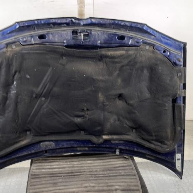 Capot VOLKSWAGEN GOLF 4 Photo n°9