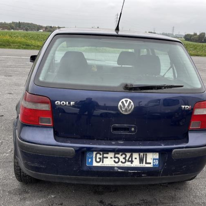 Custode arriere gauche (porte) VOLKSWAGEN GOLF 4 Photo n°9