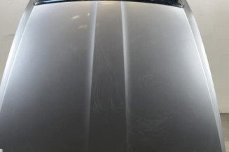 Capot SKODA OCTAVIA 2 Photo n°1