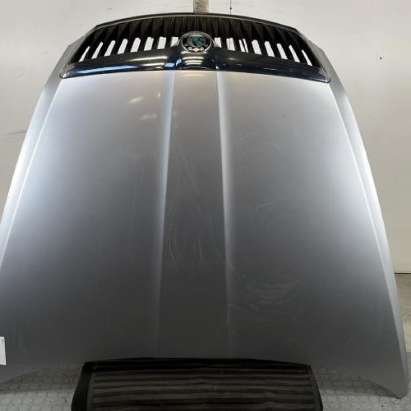 Capot SKODA OCTAVIA 2 Photo n°1