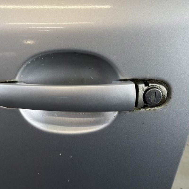 Porte avant gauche SKODA OCTAVIA 2 Photo n°2