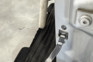 Porte avant gauche SKODA OCTAVIA 2