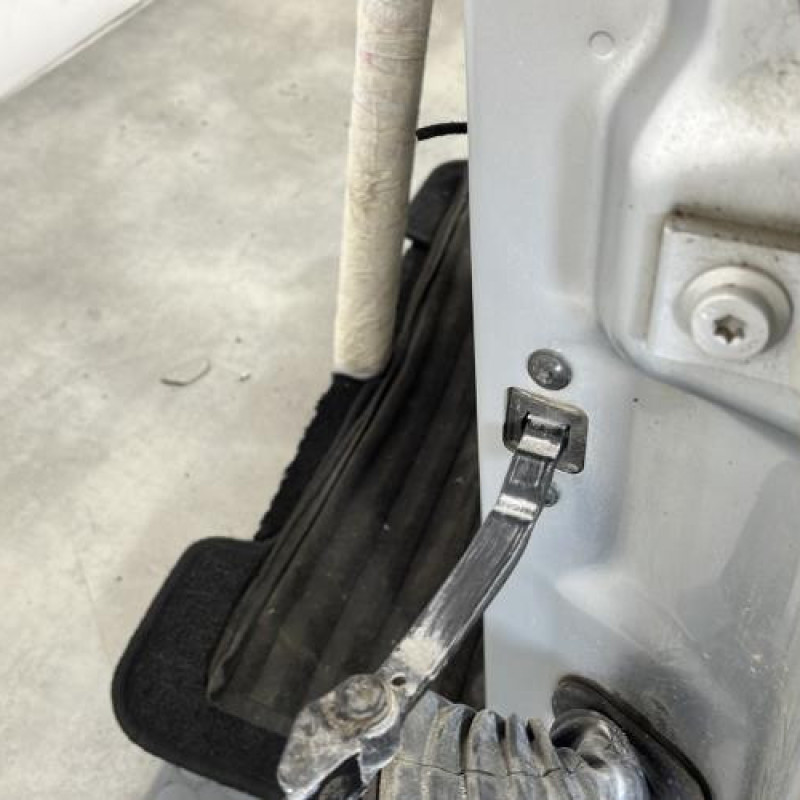 Porte avant gauche SKODA OCTAVIA 2 Photo n°4