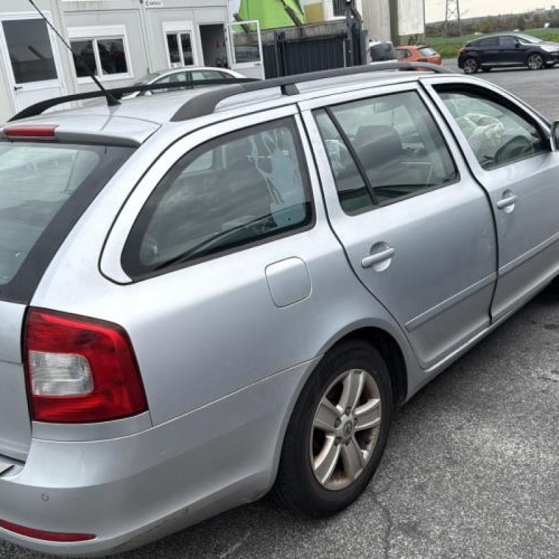 Porte avant gauche SKODA OCTAVIA 2 Photo n°10