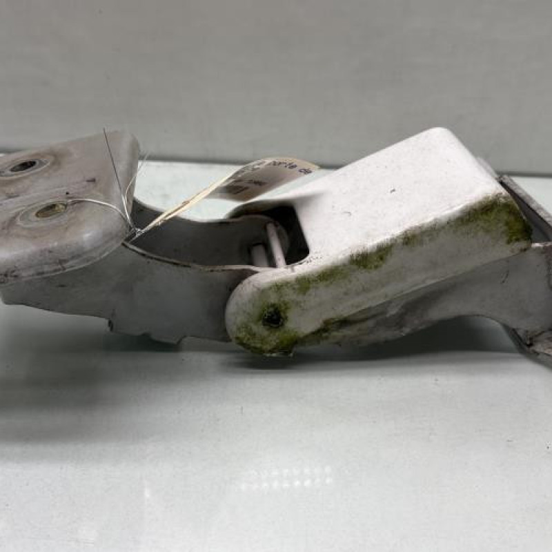 Charniere de porte de coffre gauche PEUGEOT EXPERT 2 Photo n°7