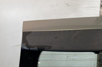 Malle/Hayon arriere FORD C-MAX 1