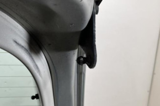 Malle/Hayon arriere FORD C-MAX 1