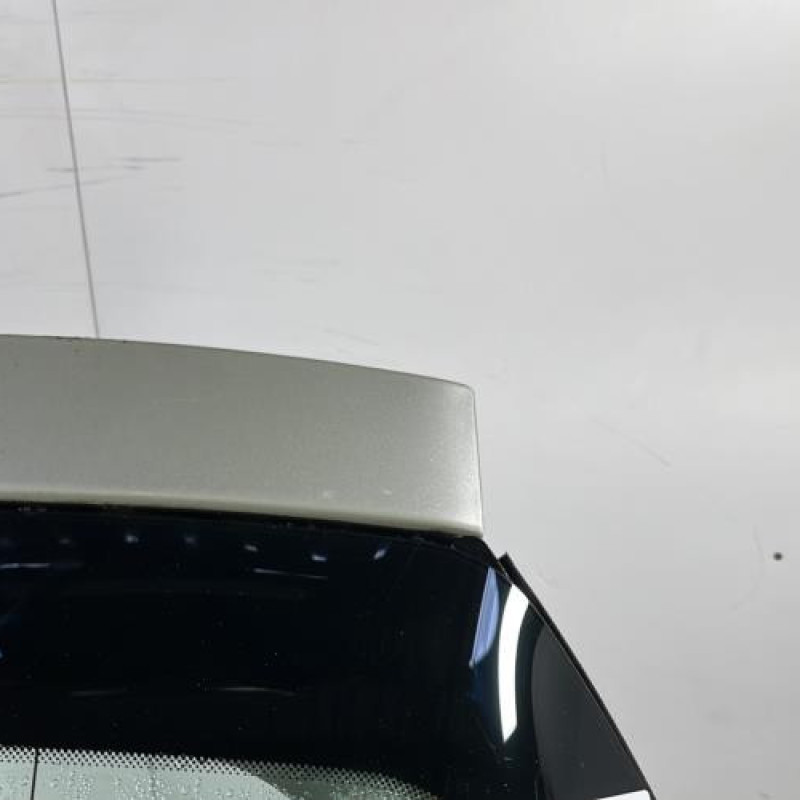 Malle/Hayon arriere RENAULT LAGUNA 2 Photo n°3