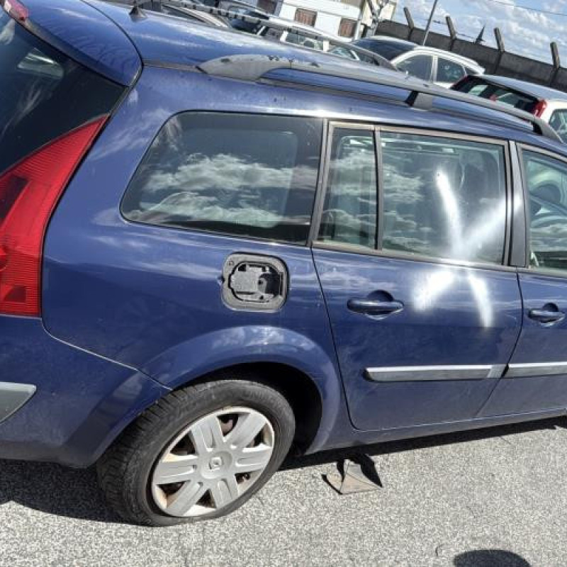 Malle/Hayon arriere RENAULT MEGANE 2 Photo n°18