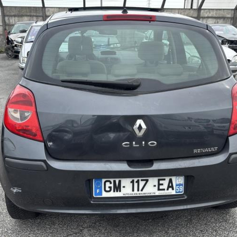 Feu arriere principal gauche (feux) RENAULT CLIO 3 Photo n°9