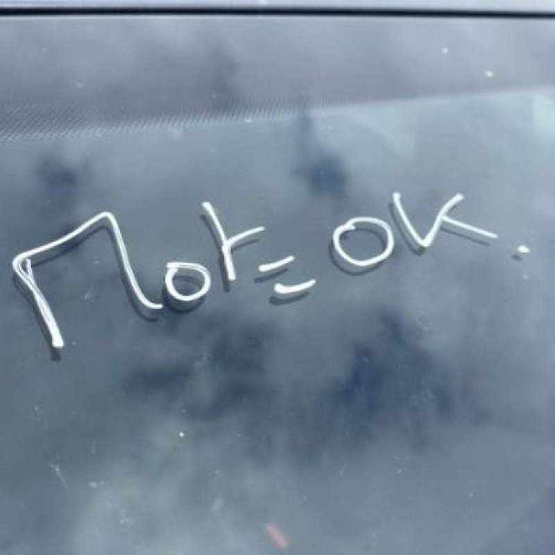 Commande chauffage DACIA SANDERO 3 Photo n°11