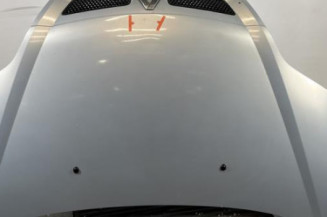 Capot RENAULT SCENIC 1 Photo n°1