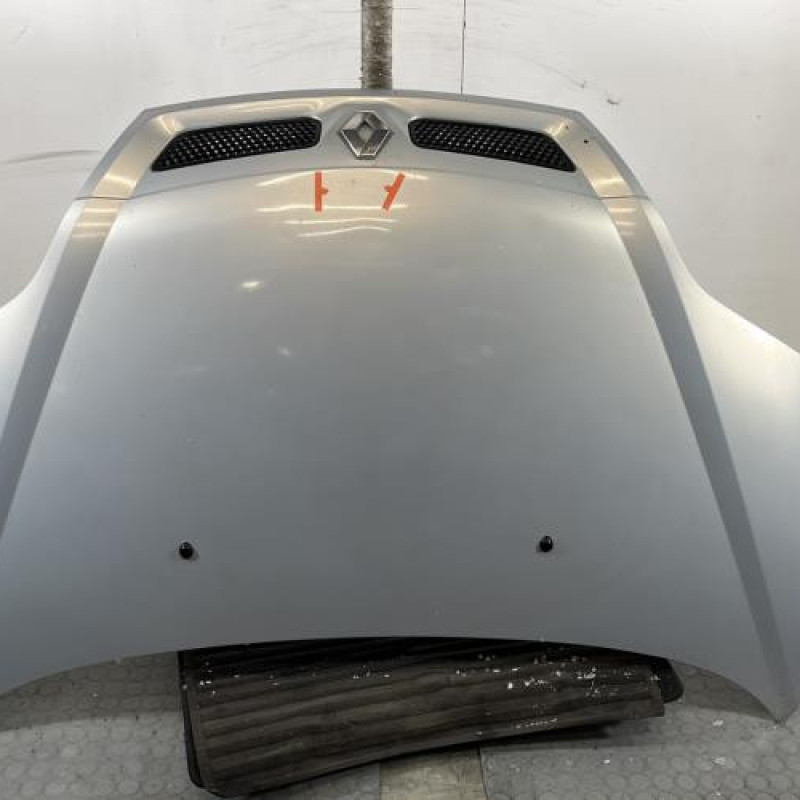 Capot RENAULT SCENIC 1 Photo n°1