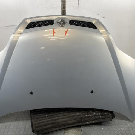 Capot RENAULT SCENIC 1 Photo n°1