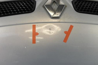 Capot RENAULT SCENIC 1