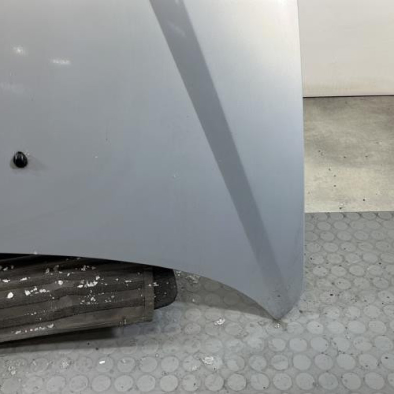 Capot RENAULT SCENIC 1 Photo n°5