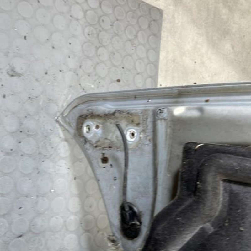 Capot RENAULT SCENIC 1 Photo n°10