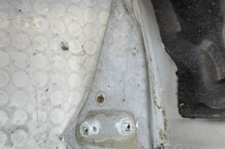 Capot RENAULT SCENIC 1