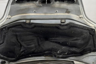 Capot RENAULT SCENIC 1