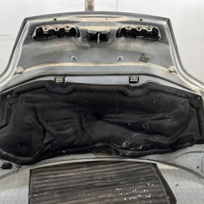 Capot RENAULT SCENIC 1 Photo n°12