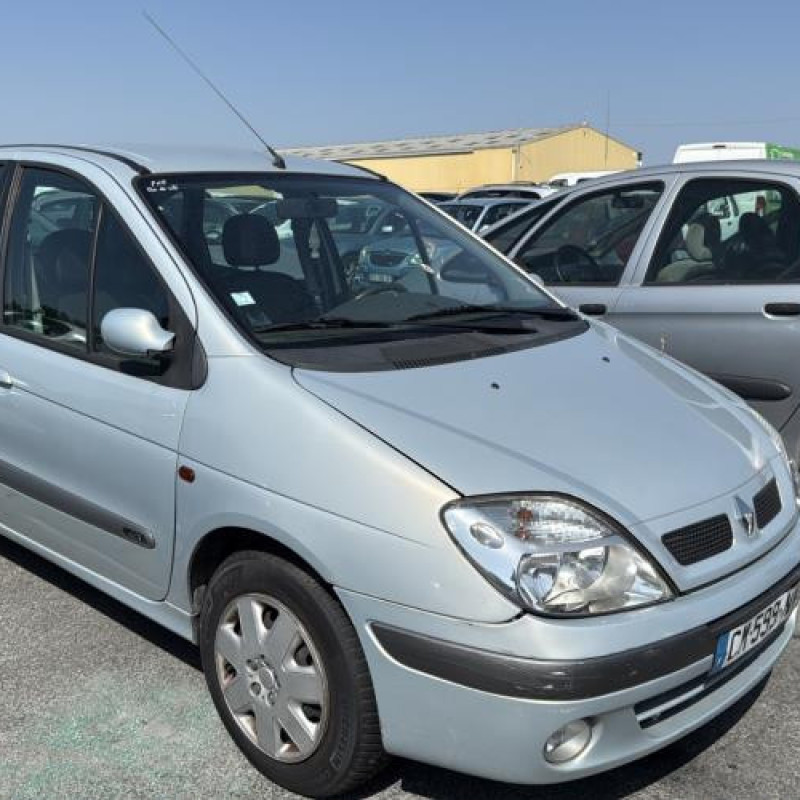 Capot RENAULT SCENIC 1 Photo n°14