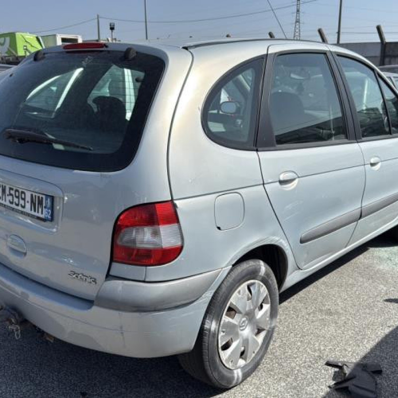 Capot RENAULT SCENIC 1 Photo n°15