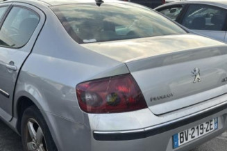 Aile avant gauche PEUGEOT 407