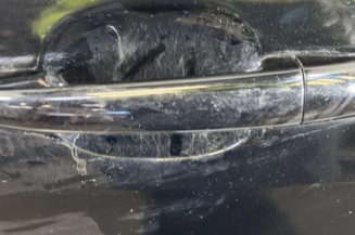 Porte arriere gauche PEUGEOT 308 1