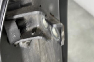 Porte arriere droit RENAULT MEGANE 3