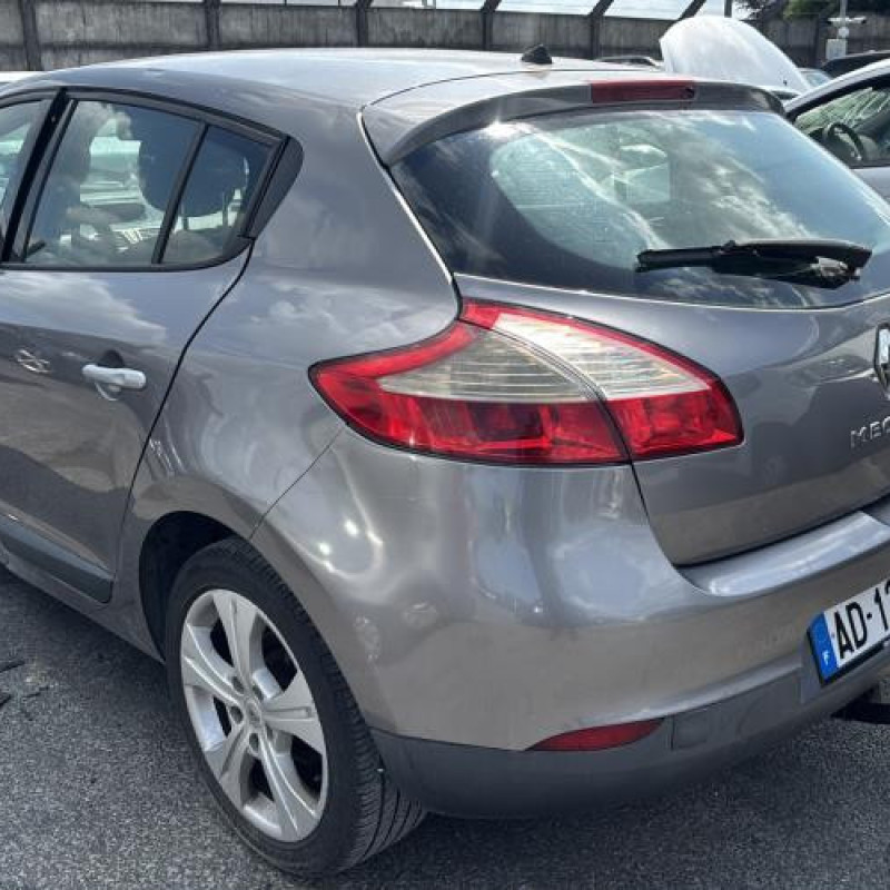 Porte arriere droit RENAULT MEGANE 3 Photo n°11