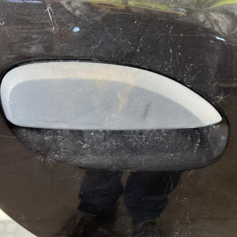 Porte arriere droit DACIA SANDERO 2 Photo n°2