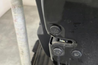 Porte arriere droit DACIA SANDERO 2