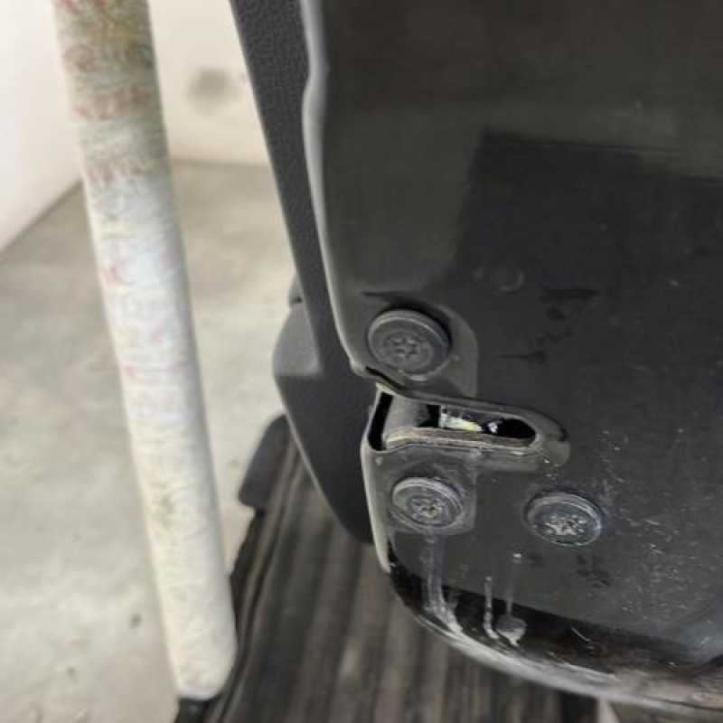 Porte arriere droit DACIA SANDERO 2 Photo n°3