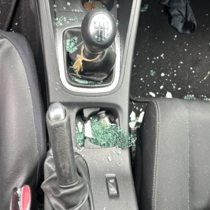 Pare boue arriere droit RENAULT MEGANE 3 Photo n°18